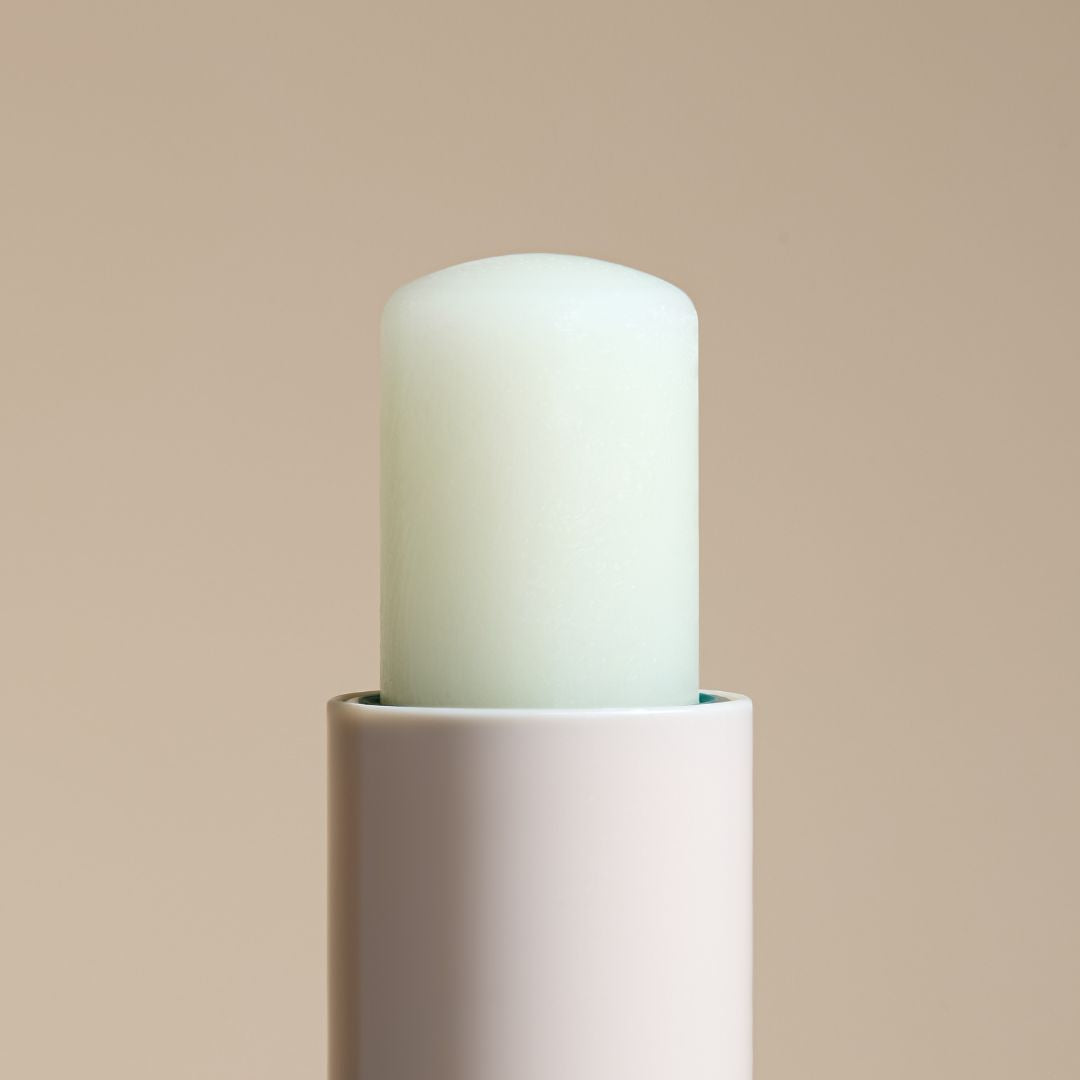 BeauTerra toitev huulepalsam sheavõiga 4g